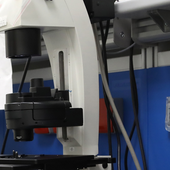 Ricerca scientifica - Abbraccia la ricerca